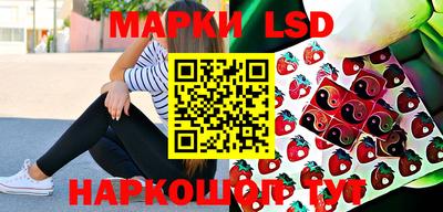 прущие грибы Обь