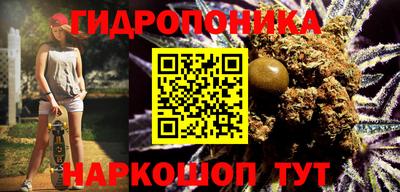 прущие грибы Обь