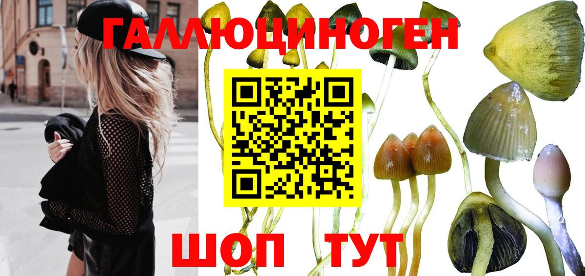 Псилоцибиновые грибы прущие грибы  Вход с VPN  Светлоград  Галлюциногенные грибы ЛСД 