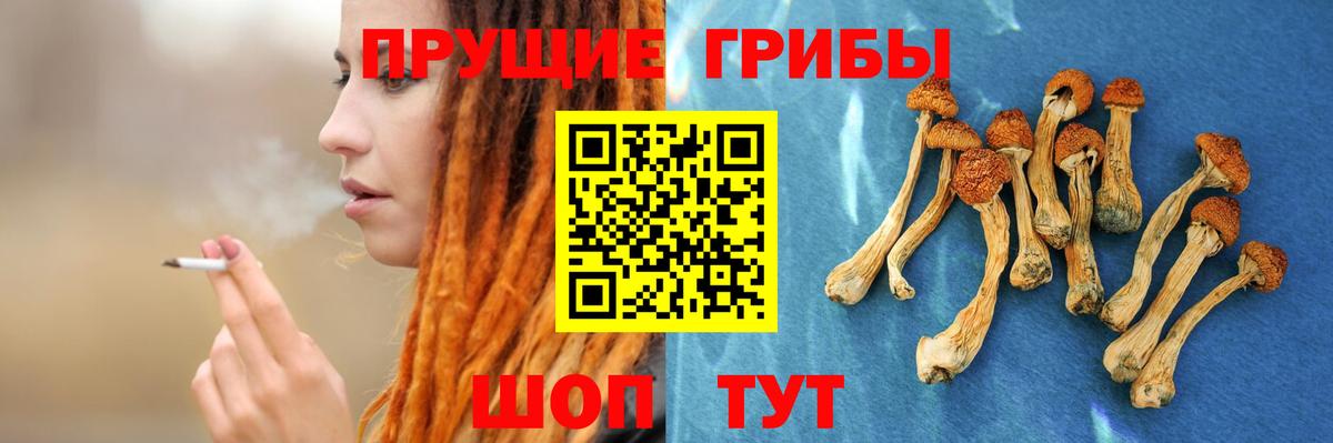 Псилоцибиновые грибы мицелий Светлоград