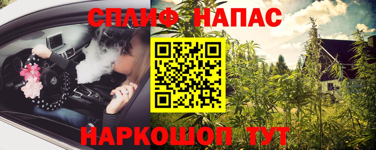 Канабис ГИДРОПОН Светлоград